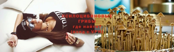 эйфоретик Осташков