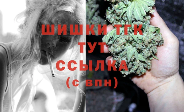 твердый Няндома