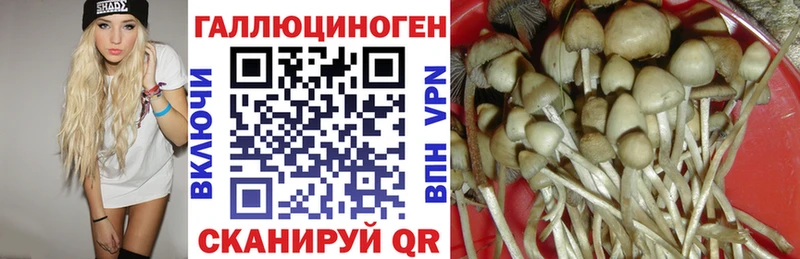 Псилоцибиновые грибы MAGIC MUSHROOMS как найти закладки Клинцы