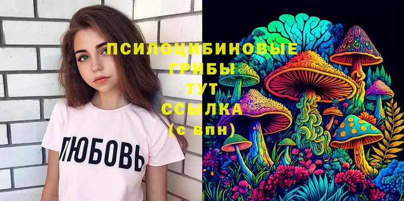 Псилоцибиновые грибы Cubensis  Клинцы 