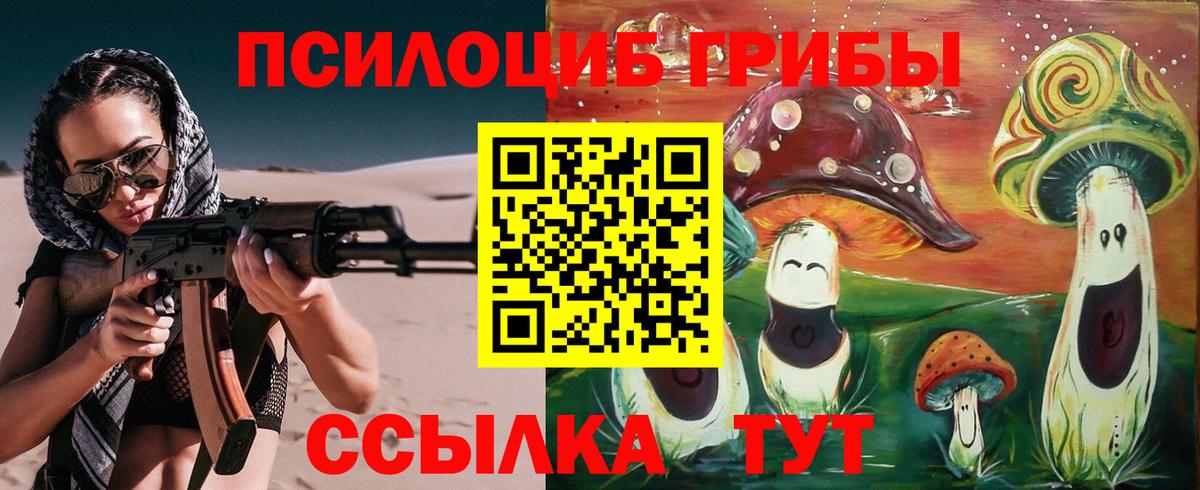 Галлюциногенные грибы Psilocybine cubensis  Вход с VPN  Галлюциногенные грибы мухоморы  Клинцы 