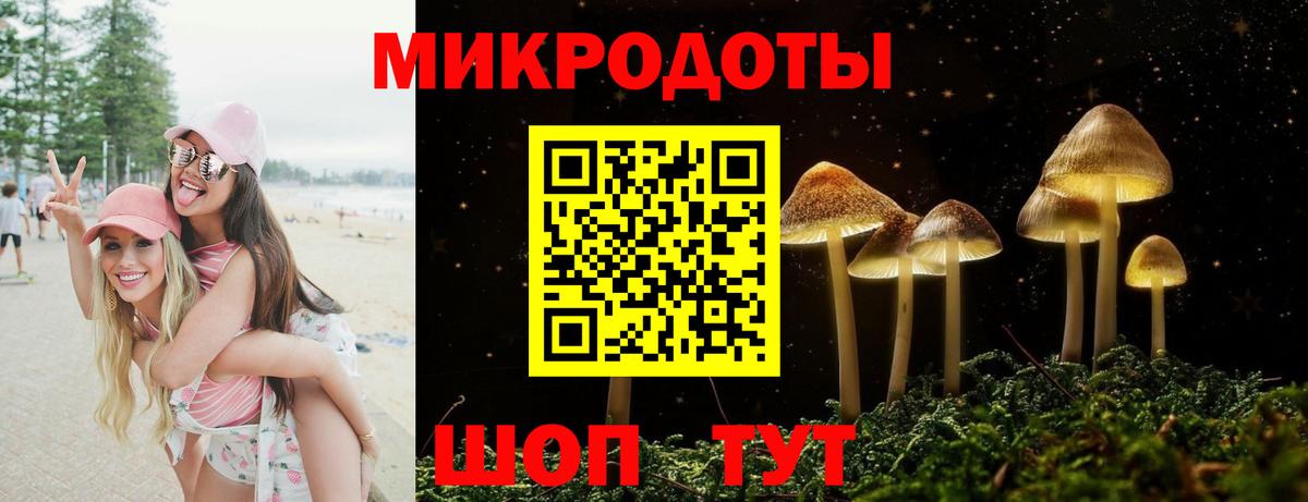 Псилоцибиновые грибы ЛСД  наркошоп  Псилоцибиновые грибы Psilocybine cubensis  Клинцы 